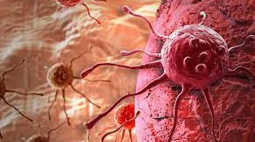 Mide kanserinin çaresi vücutta mı?