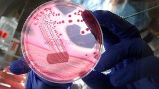 Kanser korkusu tedaviyi bıraktırıyor