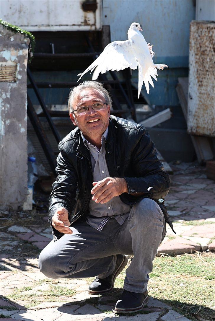 Karavanını hayvan barınağına dönüştüren "Kuşçu Ahmet"in 40 yıllık sevdası G2