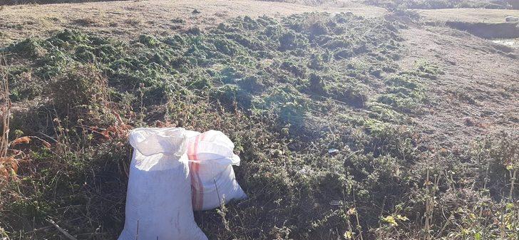 Bingöl'de 284 kilo 200 gram esrar ele geçirildi G2