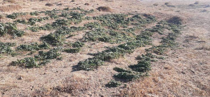 Bingöl'de 284 kilo 200 gram esrar ele geçirildi G3