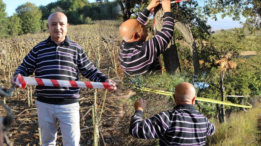 Domuzlara karşı ilginç yöntem: Bir daha gelmediler