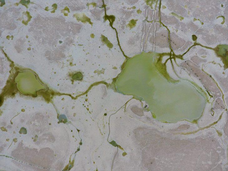 Burdur'da göçmen kuşların uğrak noktası Karataş Gölü kurudu G2