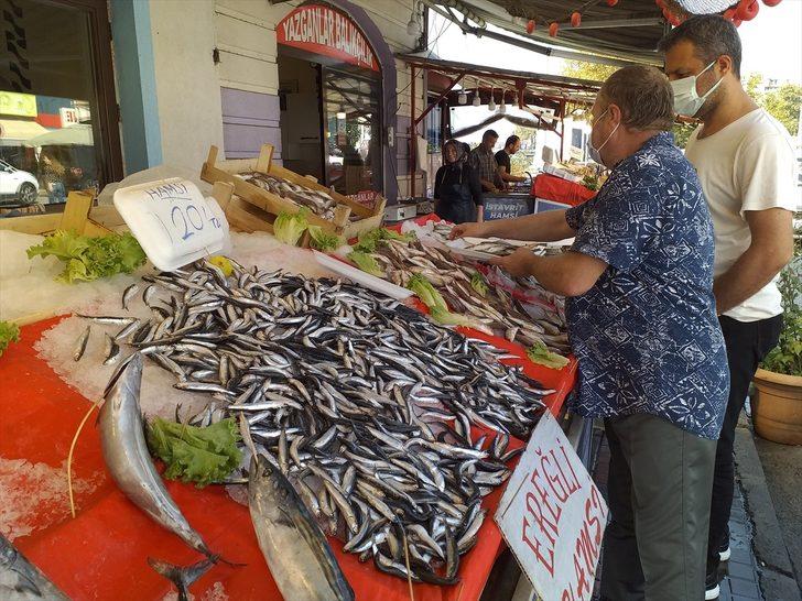 Zonguldak'ta balıkçılar Karadeniz hamsisinden umutlu G2