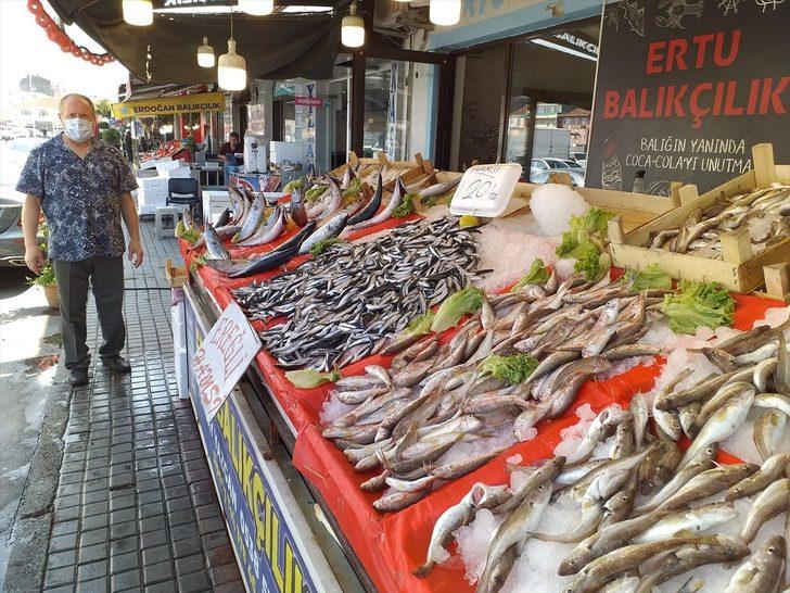 Zonguldak'ta balıkçılar Karadeniz hamsisinden umutlu G3