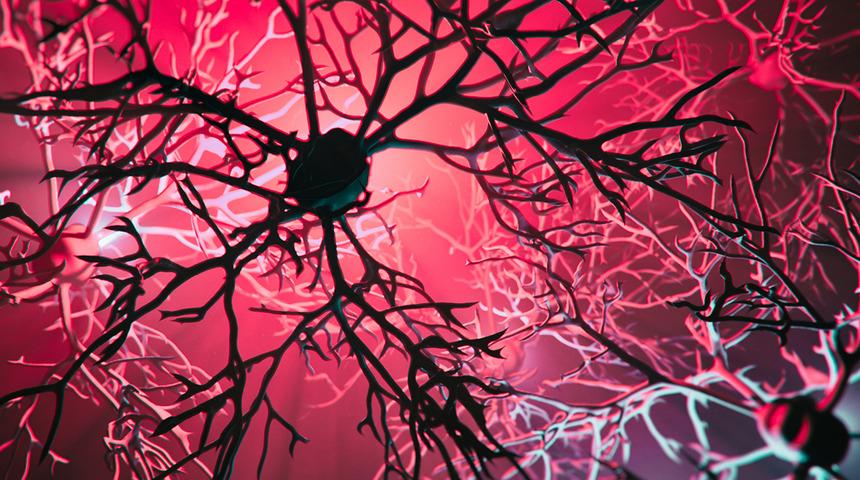 Alzheimer uyarısı korkuttu: 2050’de Türkiye 4’üncü sırada olacak