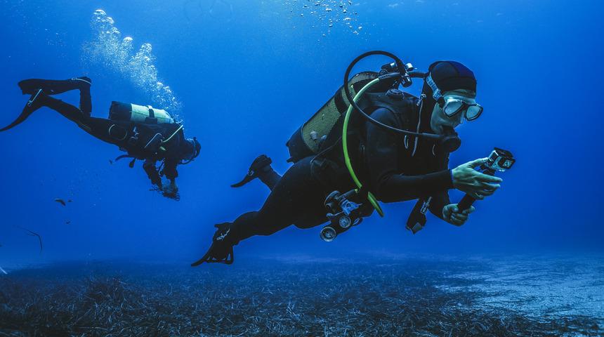 'Dalmak' i&ccedil;in nelere dikkat etmeli?