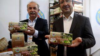 Kestane çiçeği çayının antioksidan seviyesi yüksek çıktı