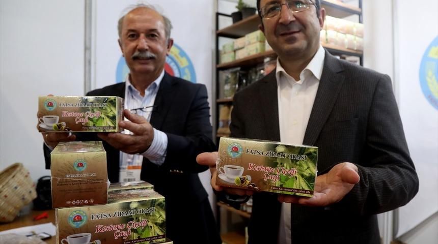 Kestane çiçeği çayının antioksidan seviyesi yüksek çıktı