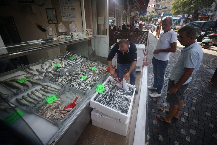Düzce'de hamsinin kilogramı 20 liraya kadar düştü G5