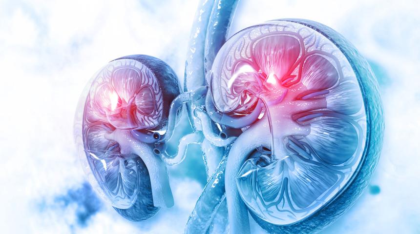 Yazın böbrek taşı riski artıyor