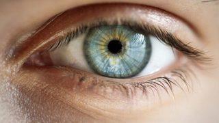 Diyet yağlarında körlük riski