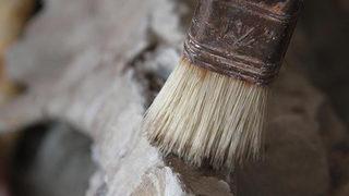 360 milyon yıllık fosiller görücüye çıktı 