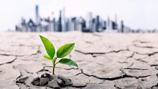 Paris İklim Anlaşması nedir? Paris İklim Anlaşması maddeleri neler?