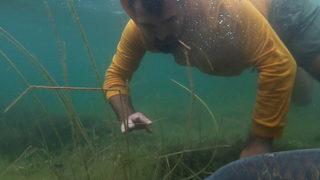 Sapanca Gölü'nden çıktı! Tam 23 kilo