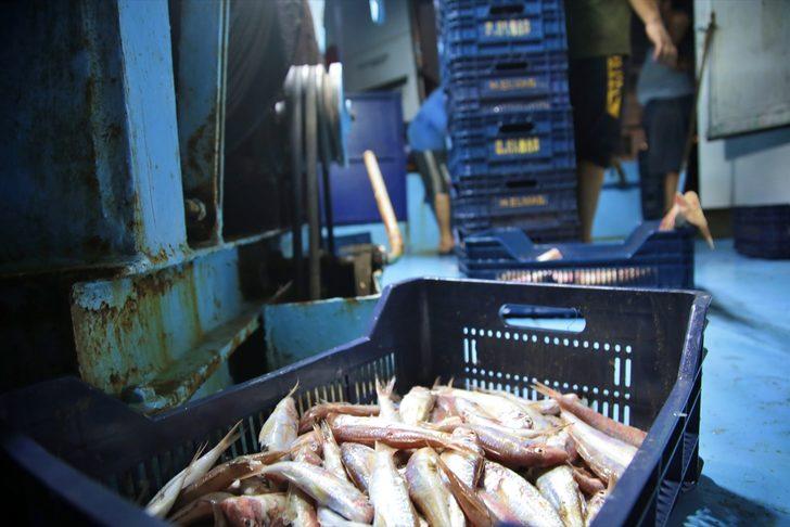 Adana'da balıkçıların açık denizlerden dönüşleri başladı G2