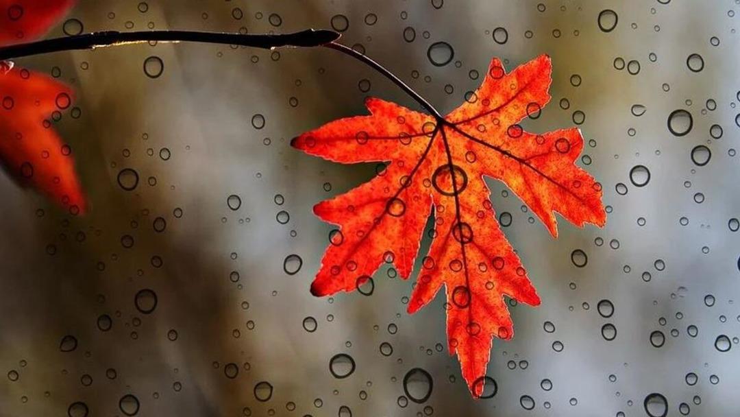 Sonbahar ekinoksu nedir, &ouml;zellikleri neler? Sonbahar ekinoksunda neler olur?