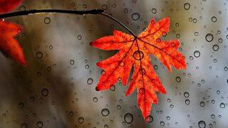 Sonbahar ekinoksu nedir, özellikleri neler? Sonbahar ekinoksunda neler olur?