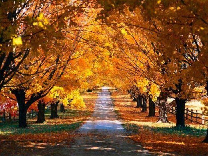 Sonbahar ekinoksu nedir, özellikleri neler? Sonbahar ekinoksunda neler olur? G1