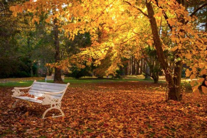 Sonbahar ekinoksu nedir, özellikleri neler? Sonbahar ekinoksunda neler olur? G3