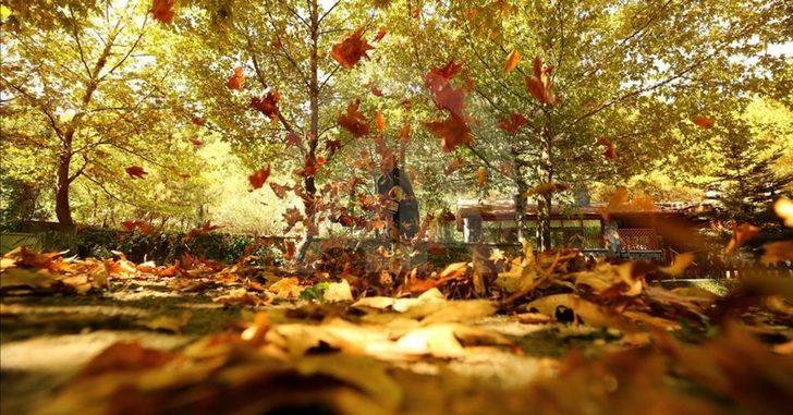 Sonbahar ekinoksu nedir, özellikleri neler? Sonbahar ekinoksunda neler olur? G4