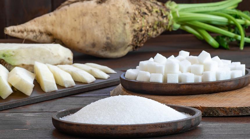 Şekerpancarı alımları başladı