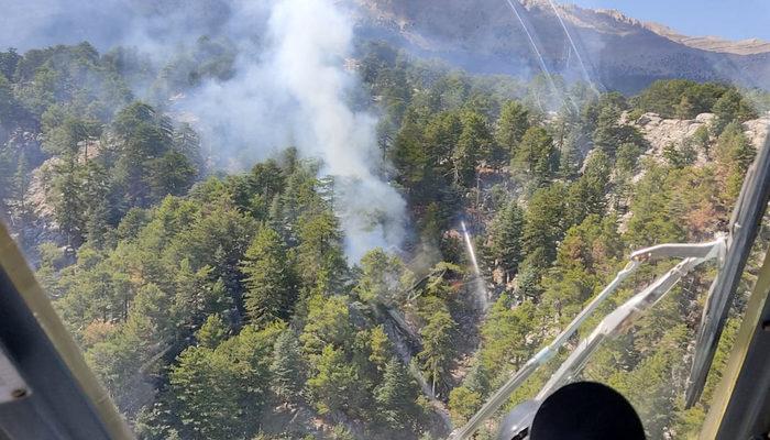 Manavgat'ta orman yangını! Ekipler seferber oldu
