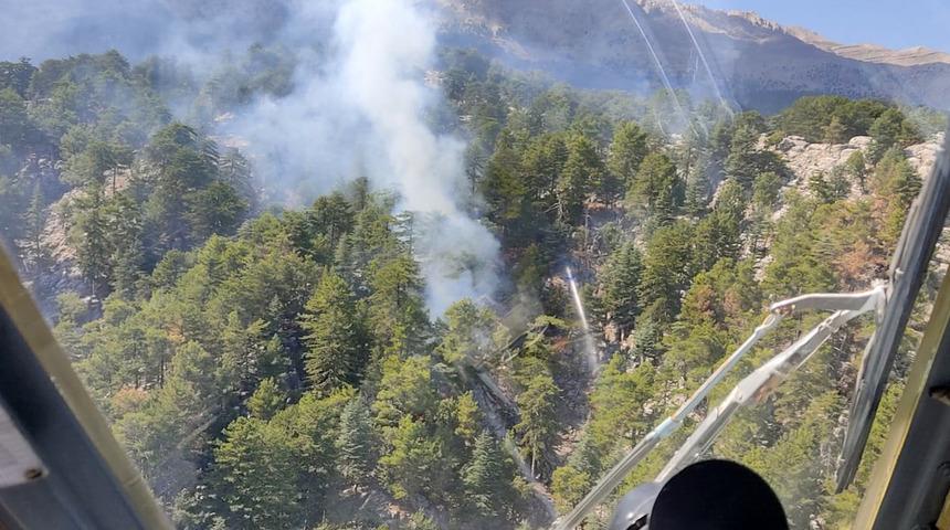 Manavgat'ta orman yangını! Ekipler seferber oldu