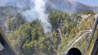 Manavgat'ta orman yangını! Ekipler seferber oldu