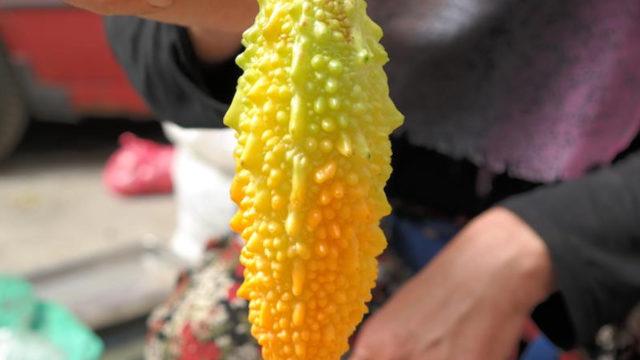 Fasulye gibi yetişiyor, 40 gün zeytinyağında bekletiliyor! Şifasını duyunca yetiştirmeye başladı