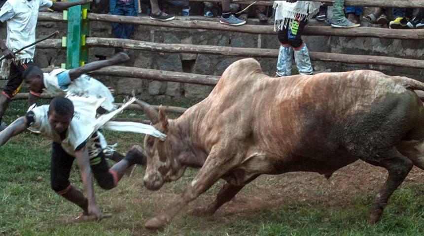 Madagaskar’da dehşet! Sığır hırsızları ve köylüler çatıştı: En az 46 ölü