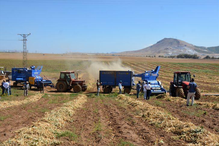 Bitlis'te devlet desteğiyle ekilen fasulyenin hasadına başlandı G1