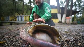 Amatör balıkçının oltasına takıldı, sosyal medyadan gören aradı: 3 bin liraya sattım