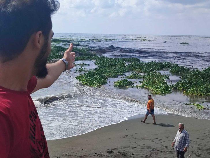 "Su canavarları" tüm bölgeyi istila etti! "Bu kadar yoğun değildi" G3