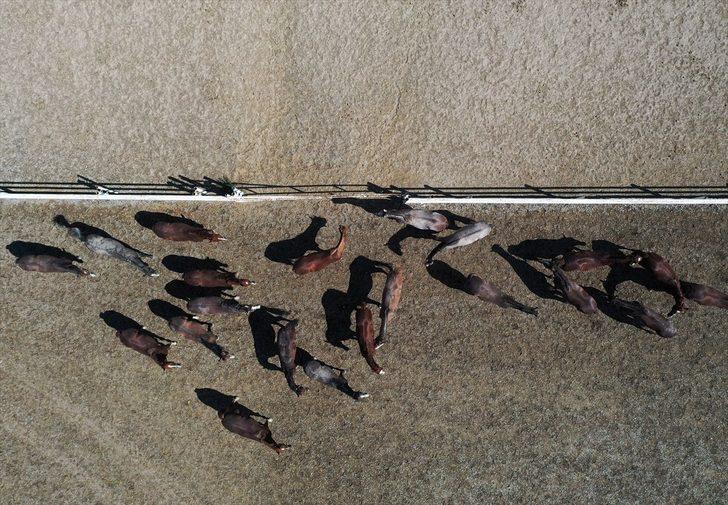 Şampiyonların elit tayları satışa sunulacak G3