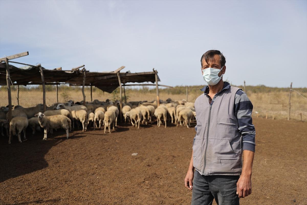G&Uuml;NCELLEME - Edirne'de "mavi dil" hastalığı g&ouml;r&uuml;len 8 k&ouml;yde karantina başlatıldı