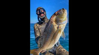 Rekortmen dalgıçtan 65 santim boyunda 6 kiloluk sinarit avı