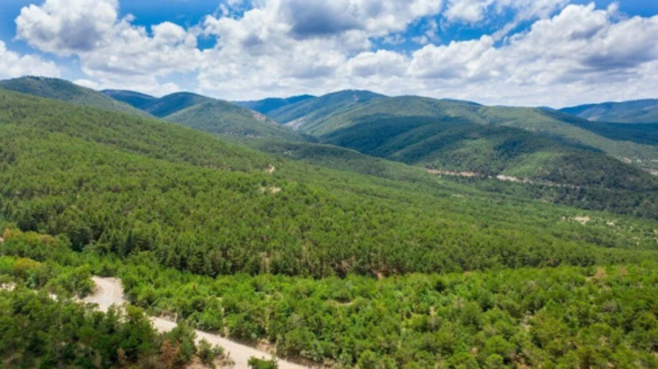 Sivas’ın ormanları doğa severleri ağırlıyor! Havası Karadeniz yaylalarını aratmıyor G4