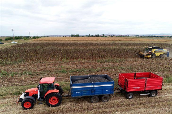 Trakya'da kuraklık nedeniyle ayçiçeği verimi azaldı G3
