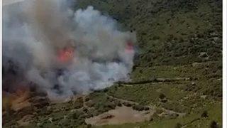 Burdur'un Bucak ilçesinde orman yangını çıktı
