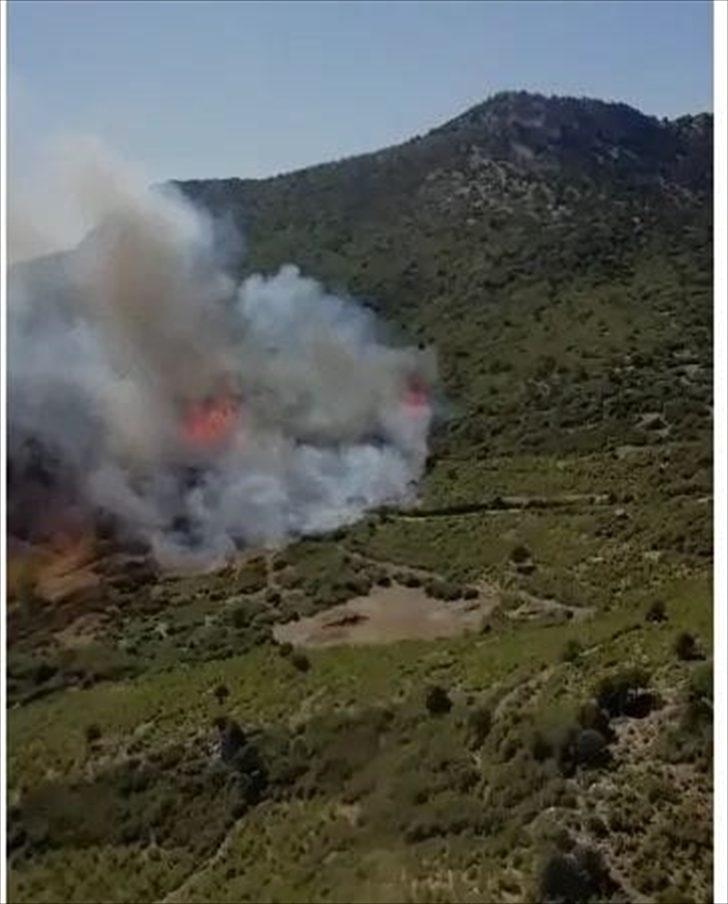 Burdur'un Bucak ilçesinde orman yangını çıktı