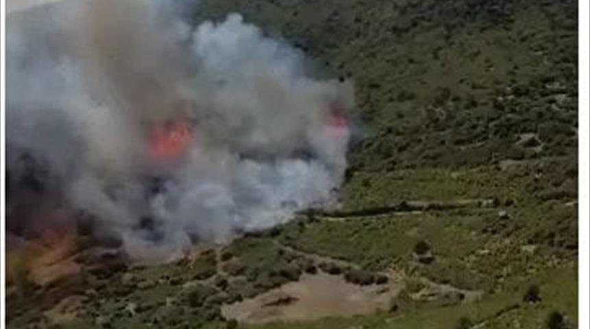 Burdur'un Bucak ilçesinde orman yangını çıktı