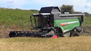 Geçen sene 6,5 liraydı, bu sene 5,5! Üretici tedirgin