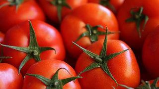 Domatesin fiyat yolculuğu! Markete kadar iki katına çıkıyor