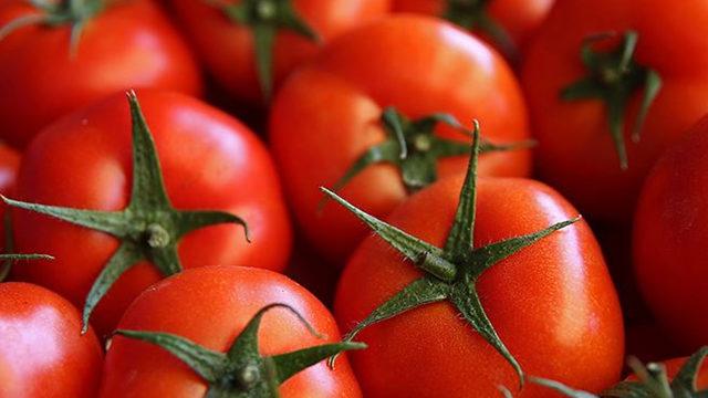 Domatesin fiyat yolculuğu! Markete kadar iki katına çıkıyor