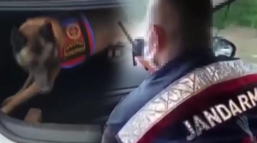 Hepsini piyasaya süreceklerdi! Son anda yakaladılar