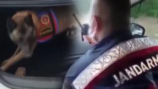 Hepsini piyasaya süreceklerdi! Son anda yakaladılar