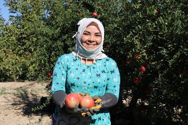 Denizlili nar üreticisi, sezondan umutlu G4