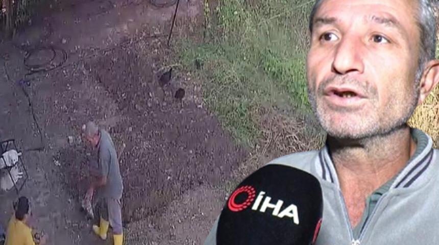 İstanbul'da villasının bahçesini sürerken buldu: Bize büyü yaptılar diye düşündük