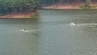 Sancaktepe'deki gölette kaybolmuştu! Son görüntüleri ortaya çıktı